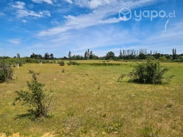 Vendo terrero en Quillón. 45.500.000._
