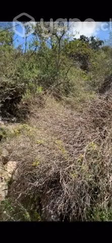 Vendo terreno
