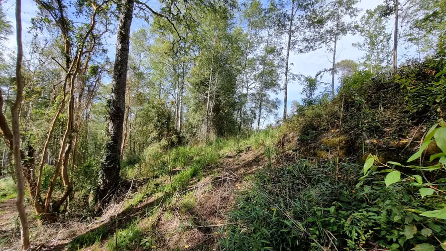 PARCELA URBANIZADA SECTOR CAYUMAPU Valdivia