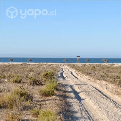 Parcela frente al Mar en Tongoy