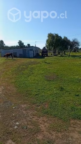Parcela camino Pemuco