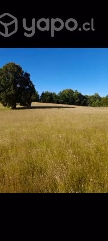 Vendo sitio 1000 mts² villarrica - Imagen 2