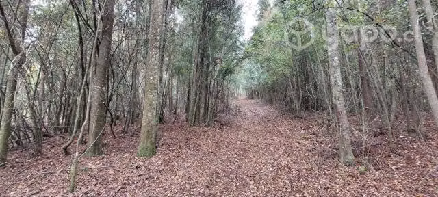 Terreno de 5000mil metros cuadrados