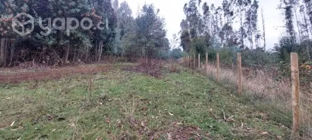 Terreno de 5000mil metros cuadrados