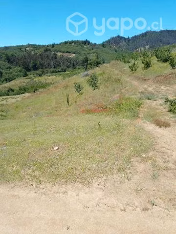 Parcela