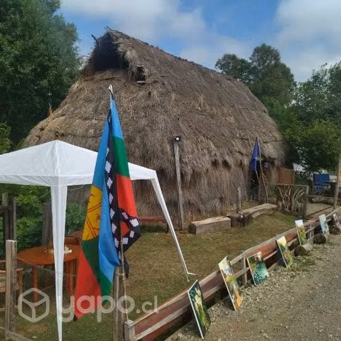 Cabaña en Panguipulli