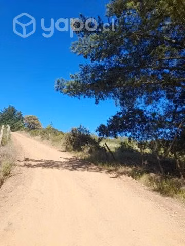 Parcela de 5 mil mtrs cuadrados