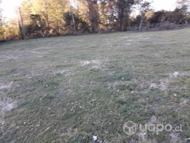 Medias hectáreas en vilcun - Imagen 2