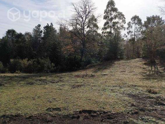 🌳Parcela Ecológicas San Ramón.🌳 - Imagen 4