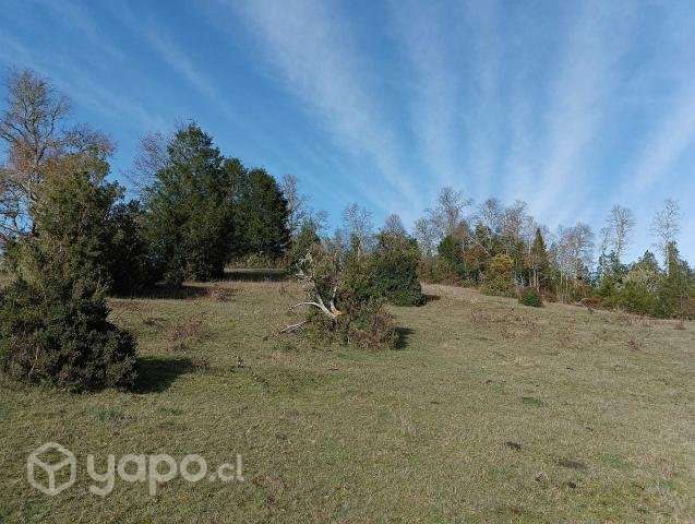 🌳Parcela Ecológicas San Ramón.🌳 - Imagen 7