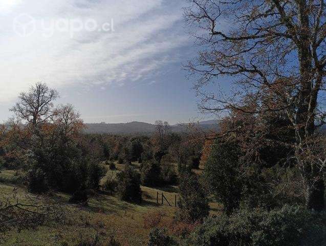 🌳Parcela Ecológicas San Ramón.🌳 - Imagen 8
