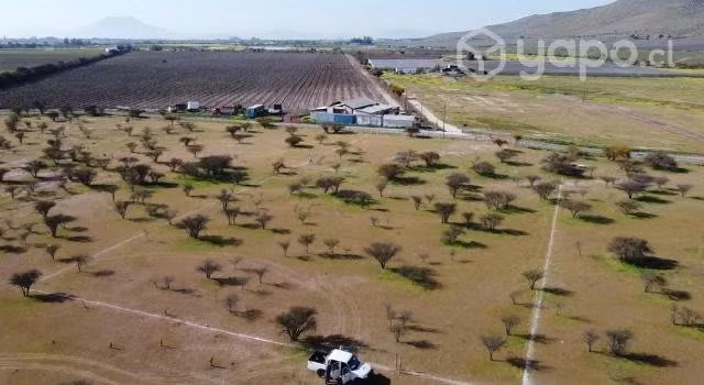 Terreno en Graneros - Punitaqui- OPORTUNIDAD - Imagen 4