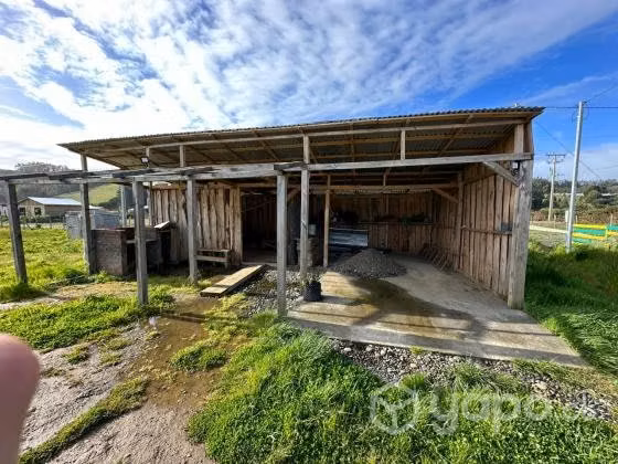 Hermosa casa en Nehuentúe - Imagen 10