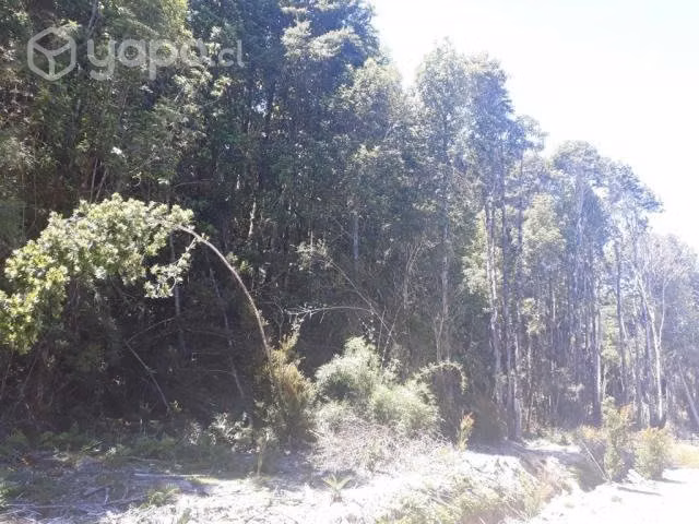Vendo Hermosa parcela ubicada en Puerto Varas