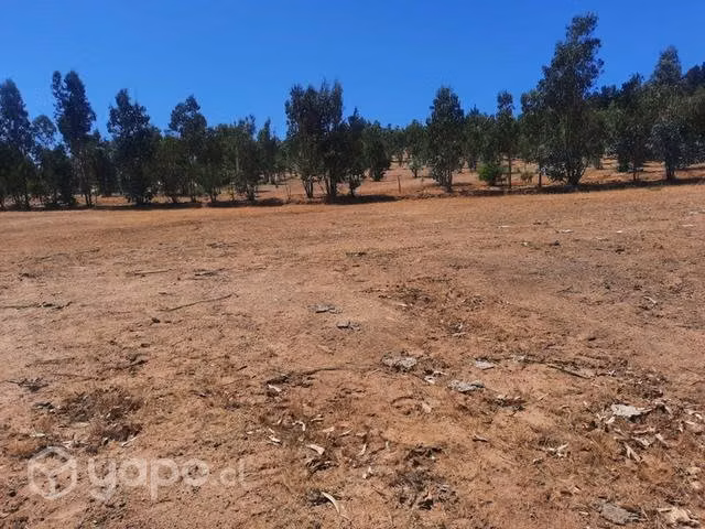 Terreno en venta sector la quebrada, marchigue