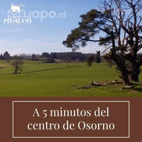 Loteo Graneros de Pilauco