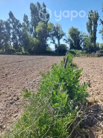 Terreno en yerbas buenas