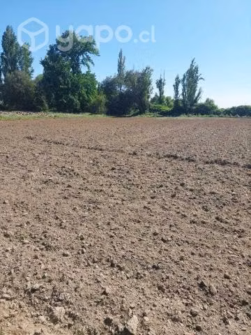 Terreno en yerbas buenas