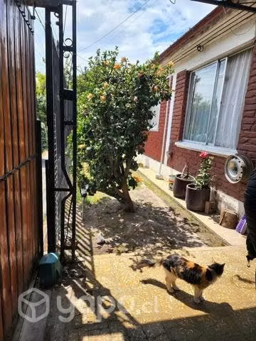 Venta de casa en tranquilo sector de padre hurtado