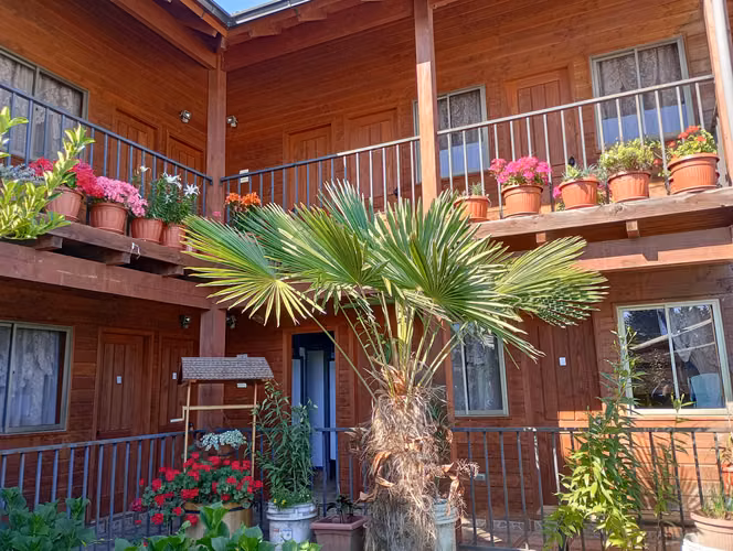 Cabañas - Imagen 6