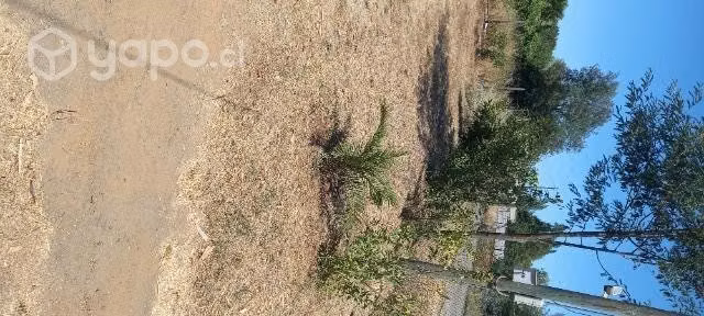 Sitio con casa