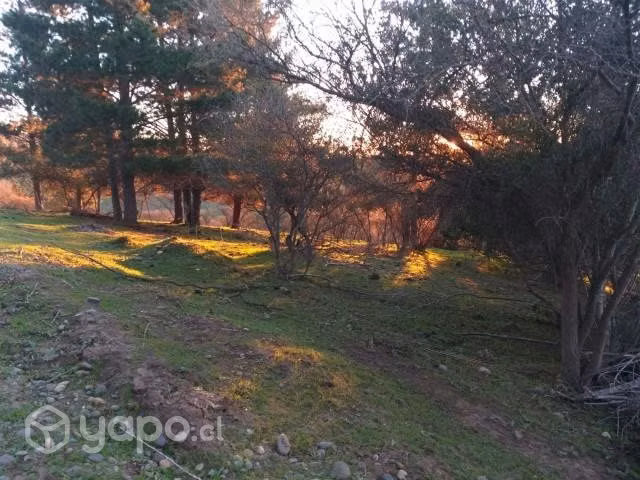 Parcela 7000m² san enrique, santo domi - Imagen 11