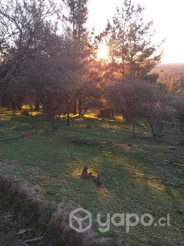 Parcela 7000m² san enrique, santo domi - Imagen 4
