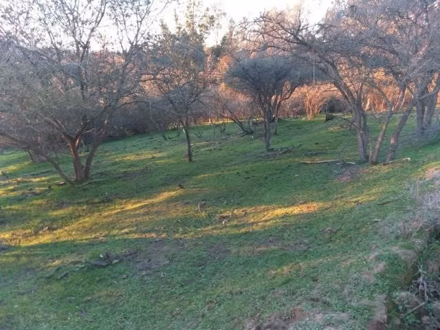 Parcela 7000m² san enrique, santo domi - Imagen 9