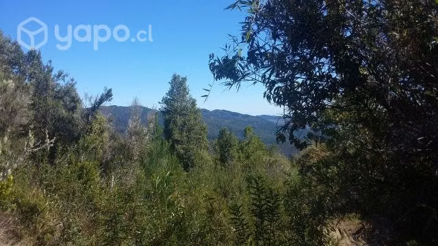 Parcela 5.000m2. Sur de Chile - Imagen 3