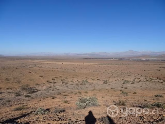 2 Terrenos de 21 ha a 20 min de Vallenar