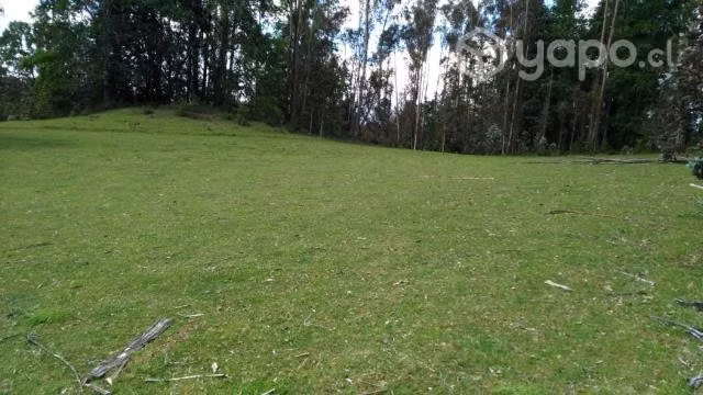 Parcela con cabaña en Villarrica