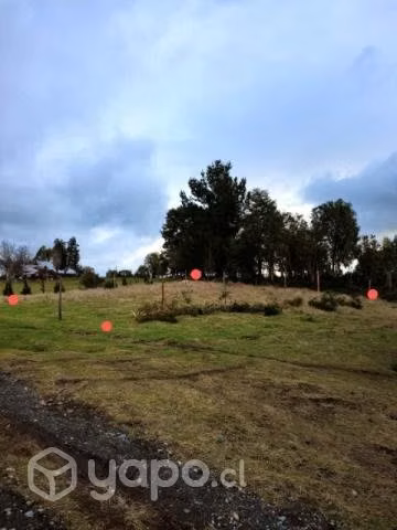 Sitio 40x20