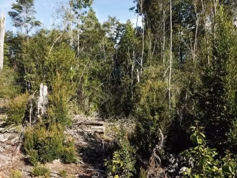 Vendo o permuto terreno - Imagen 11