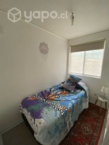 Se arrienda pieza en Condominio Cerrado/ Coyhaique - Imagen 3