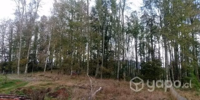 Parcela en Villarrica Lican Ray - Imagen 6