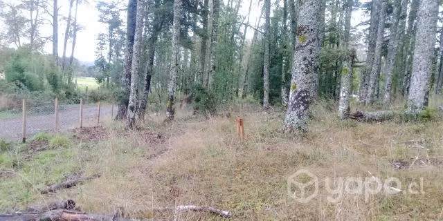 Parcela en Villarrica Lican Ray - Imagen 4