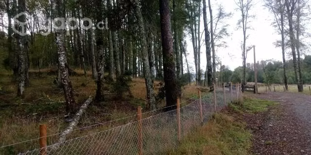 Parcela en Villarrica Lican Ray - Imagen 2