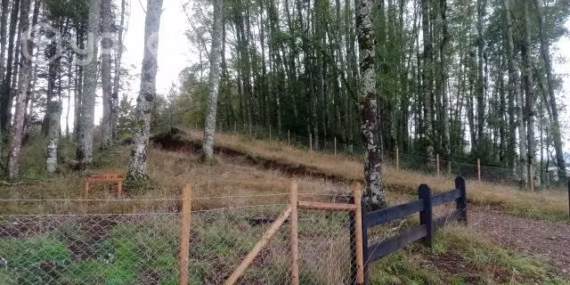 Parcela en Villarrica Lican Ray - Imagen 3