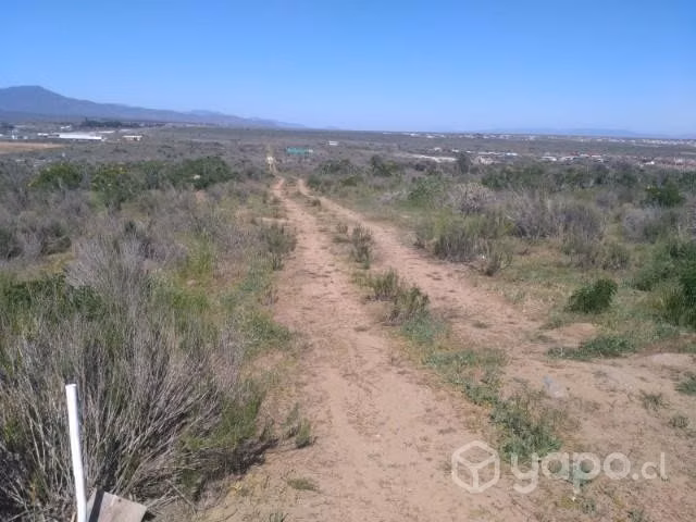 Vendo Terrenos Guanaqueros - Imagen 2