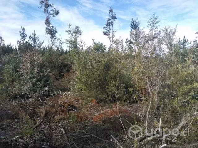 Se vende terreno - Imagen 6
