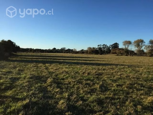 Vendo Terreno TOLTEN