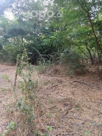 Sitio de 2500 mt en Ñipas