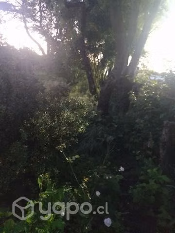 Terreno en venta