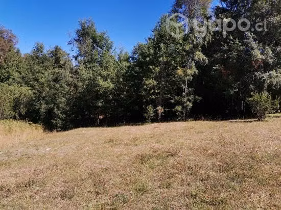 Sitio, o permuto