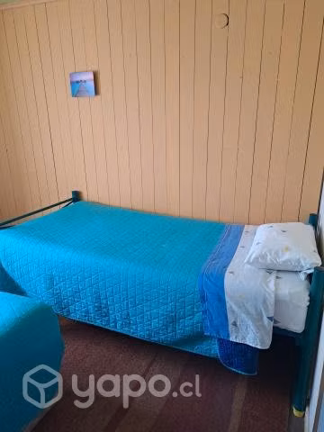 Arriendo departamento diario en constitucion