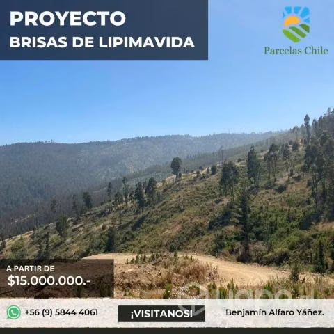 ¡Últimas parcelas disponibles en Lipimavida