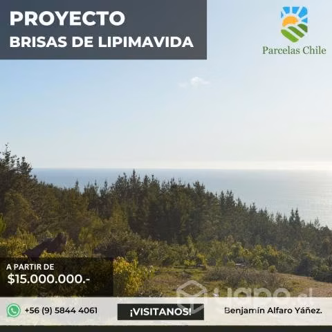 ¡Últimas parcelas disponibles en Lipimavida