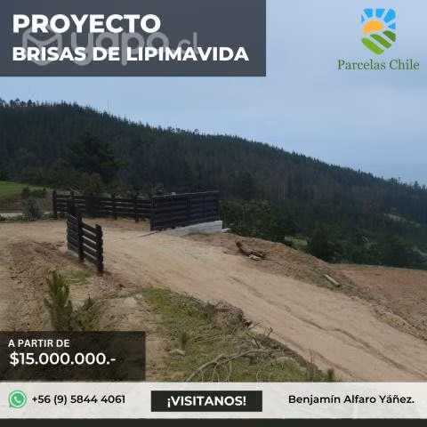 ¡Últimas parcelas disponibles en Lipimavida
