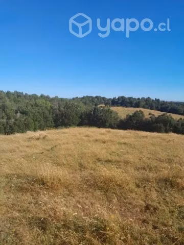 Vendo terrenos en Isla Puluqui