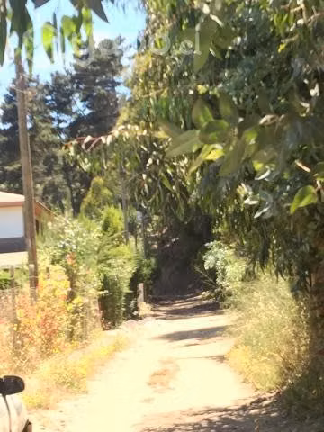 Se arrienda por dia comoda casa CAHUIL PICHILEMU